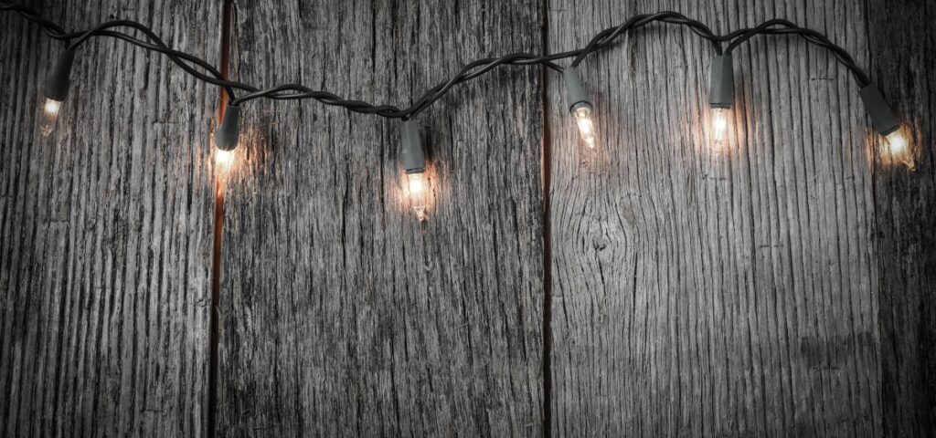 Wooden fence with lights strung across it
