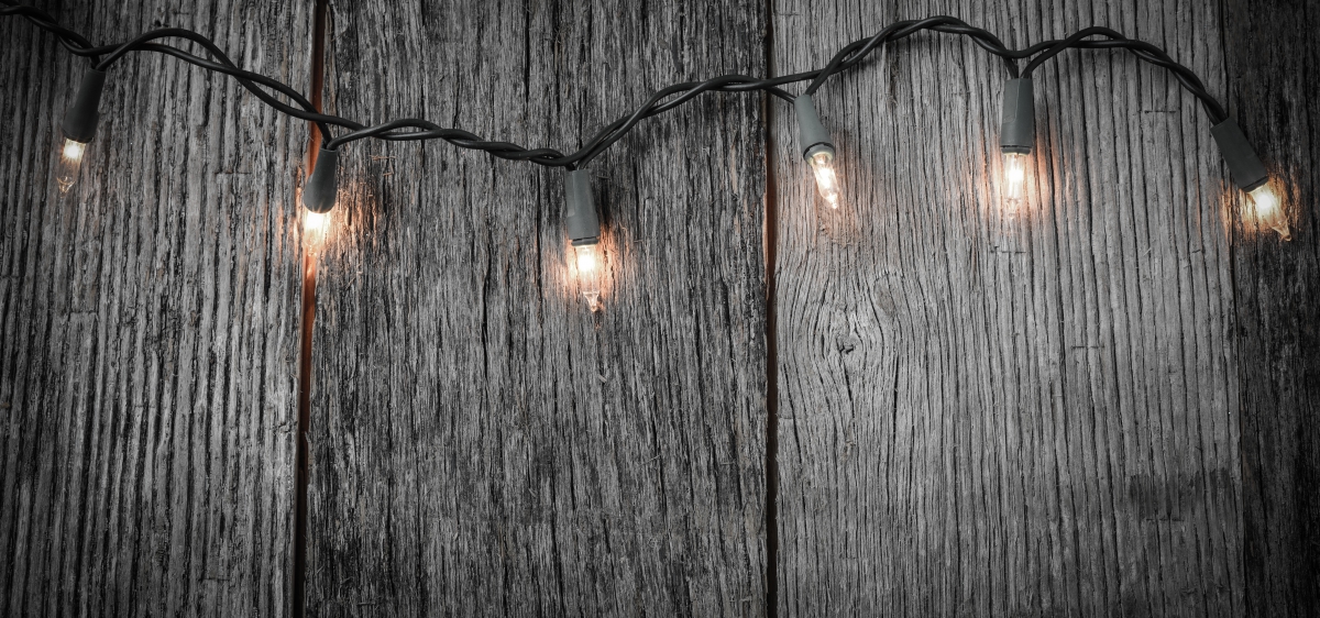 Wooden fence with lights strung across it