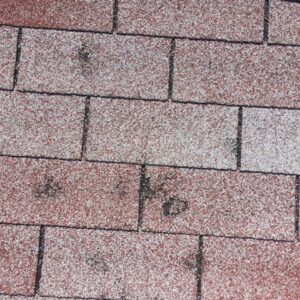 Up-close photo of damaged shingles on roof